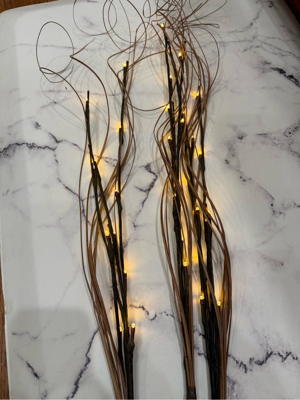 Lighted Branches - Picture 6 of 7